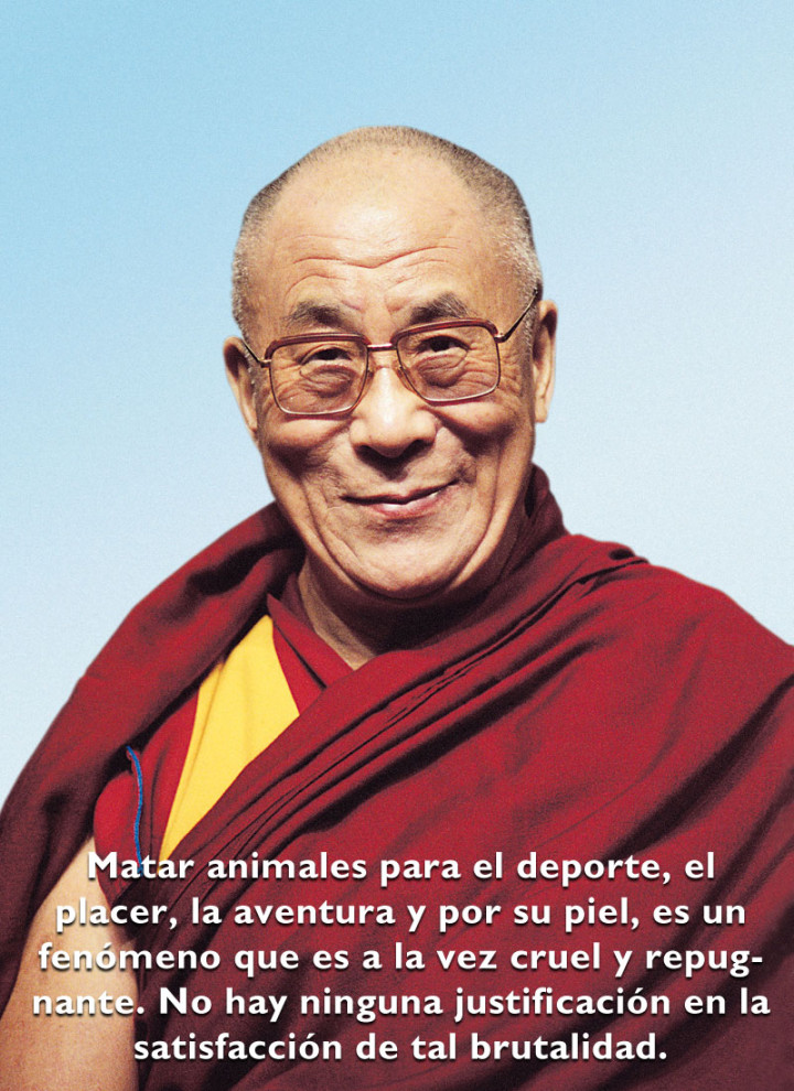 dalailamapoustavegetarianos