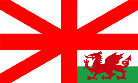 Design with elements of the Welsh Dragon flag (Y Ddraig Goch).